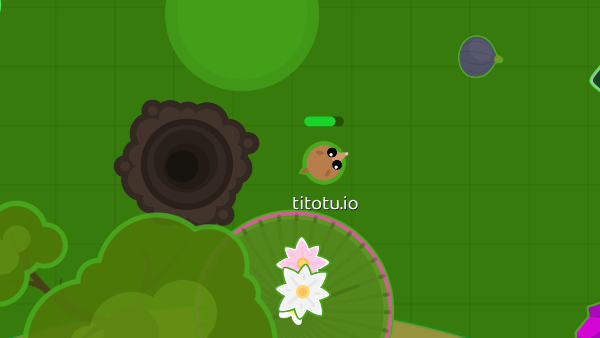 Roams io