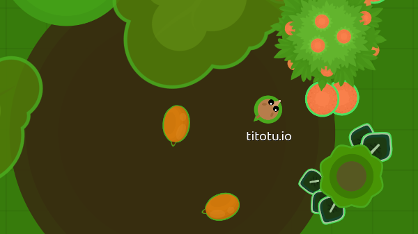 Roams io